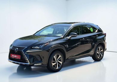 Lexus NX 300, 2018