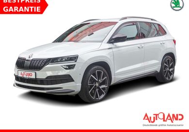 Skoda Karoq, 2020