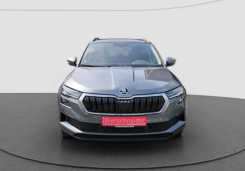 Skoda Karoq, 2025