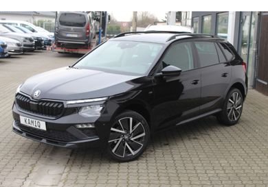 Skoda Kamiq, 2024