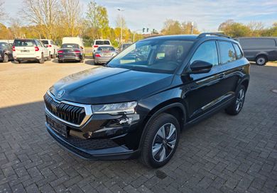 Skoda Karoq, 2023