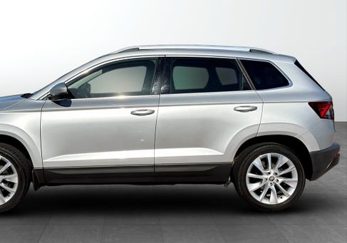 Skoda Karoq, 2019
