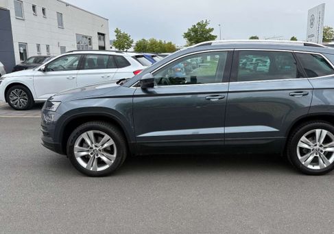 Skoda Karoq, 2019