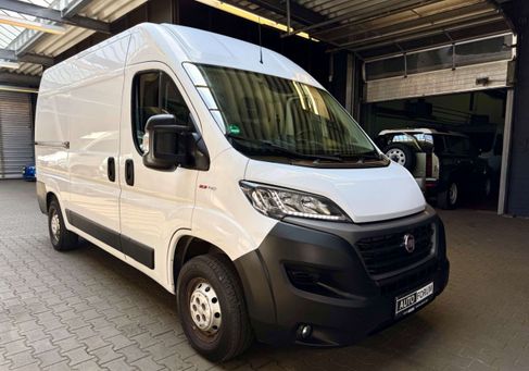 Fiat Ducato, 2019