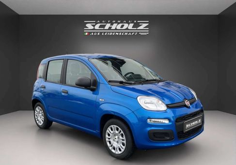 Fiat, 2025