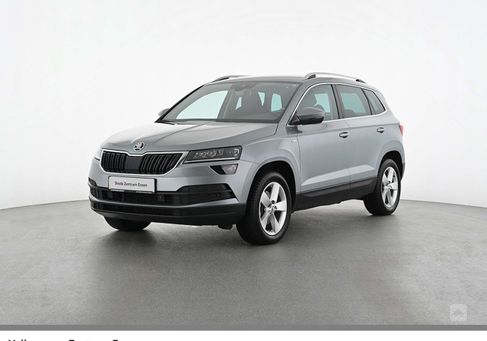 Skoda Karoq, 2019