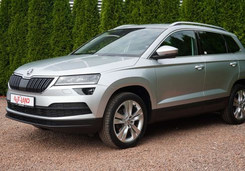 Skoda Karoq, 2020