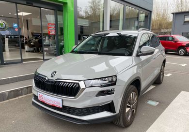 Skoda Karoq, 2024