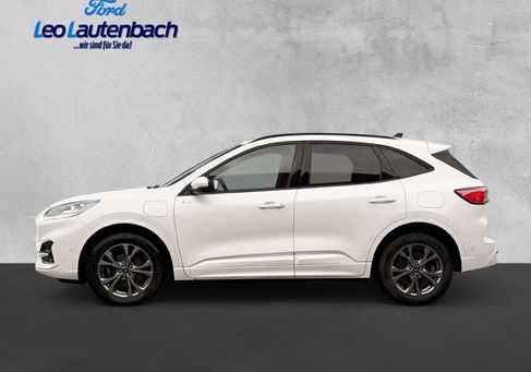 Ford Kuga, 2021