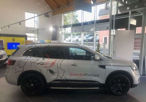 Renault Koleos, 2018 3