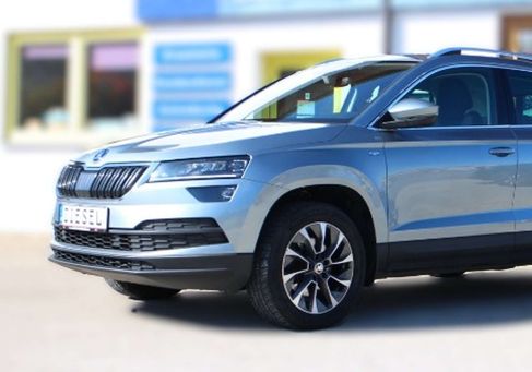 Skoda Karoq, 2020