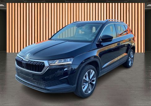 Skoda Karoq, 2024