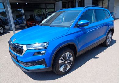 Skoda Karoq, 2022