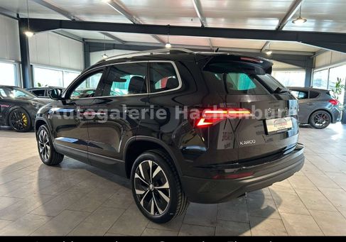 Skoda Karoq, 2023