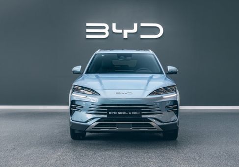 BYD, 2024 3