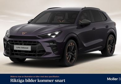 Cupra, 2025