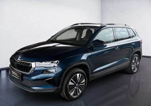 Skoda Karoq, 2023 2