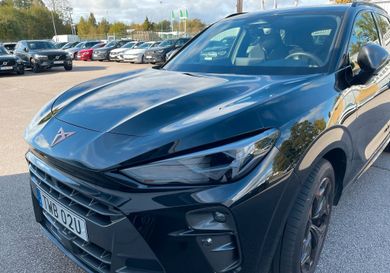 Cupra, 2025